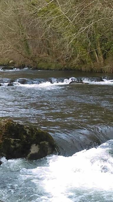 Stunning 3 Bed Riverside Cabin In Snowdonia Caeathro Exterior foto