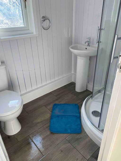 Stunning 3 Bed Riverside Cabin In Snowdonia Caeathro Exterior foto